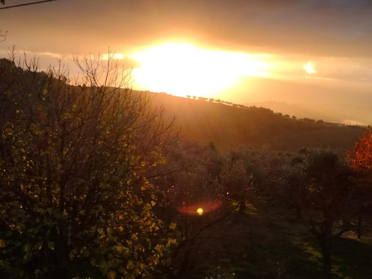 Casale Del Tempo Lento Bed & Breakfast Narni Exterior photo